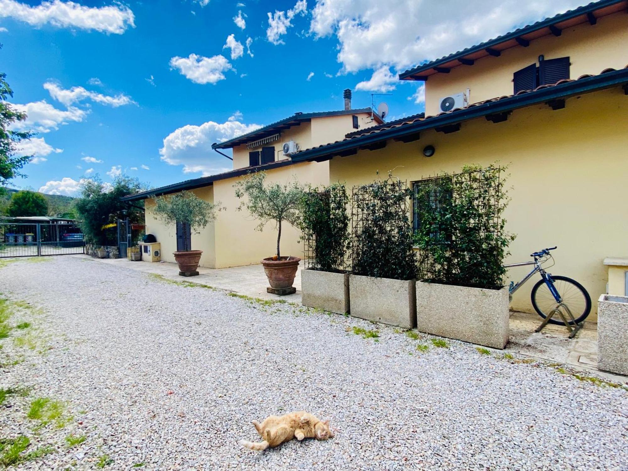 Casa Vacanze Barbara SantʼArcangelo Exterior foto